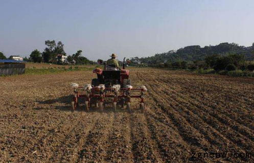 巴掌田、鸡窝地、山地也能做‘大农业’-重庆农业农产品