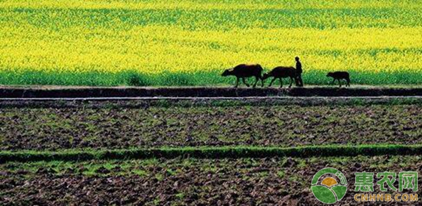 宁波掌上农村电商平台 土地承包再延长30年，农民能得到哪些好处呢？