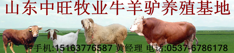 波尔山羊种羊价格|一头小驴多少钱
