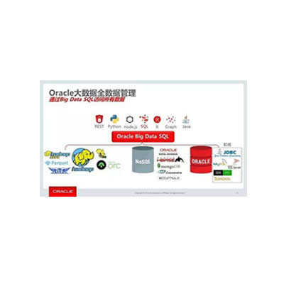 Oracle大数据解决方案
