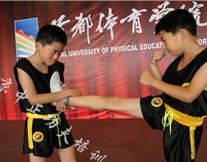 北京少儿散打培训,散打格斗中的技巧_体育运动