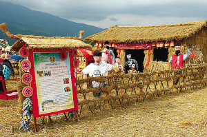 仿真绿雕制作厂家参与艺术节 游客陶醉田园稻草艺术