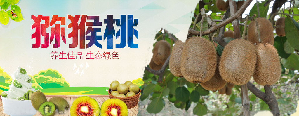 贵阳野生猕猴桃为你分享没有熟的坚硬的猕猴桃的能吃吗