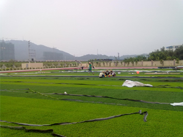 河南人造草坪的应用也就变得越来越广泛了，随之而来的是日常维护需求的激增