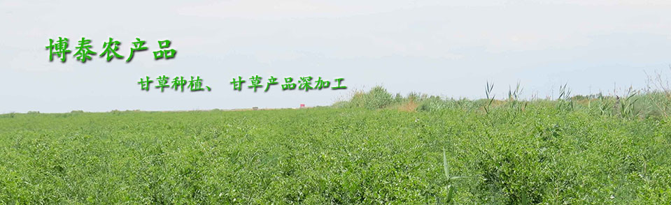 新疆甘草种子市场分析及种植技术