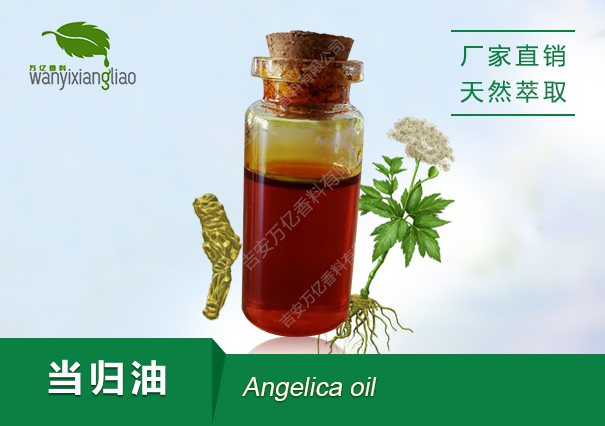 当归油