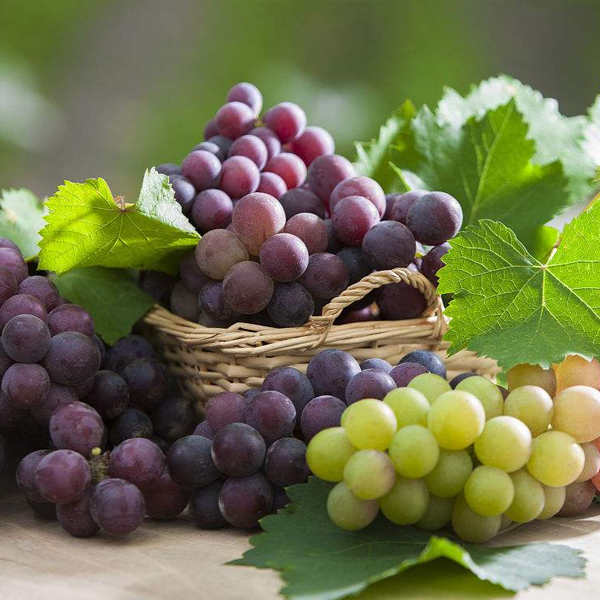 多吃葡萄多人体有哪些功效与作用？