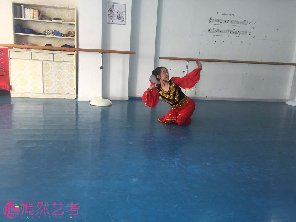 2018年湖北省普通高校艺术专业招生统一考试舞蹈艺考类考试大纲