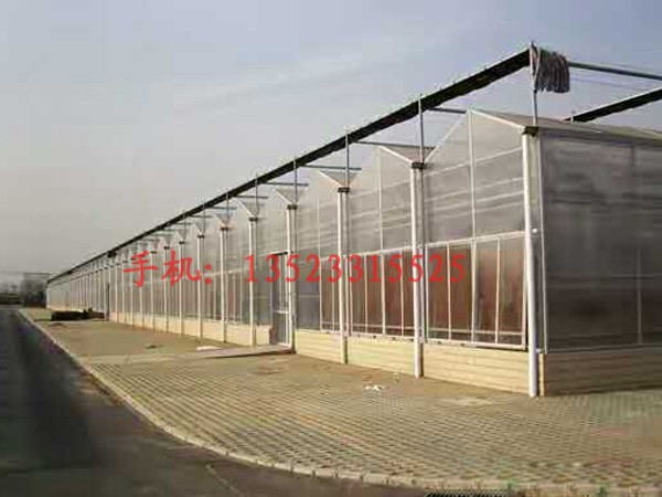 河北阳光板大棚生产厂家告诉你PC阳光板的优点和特点