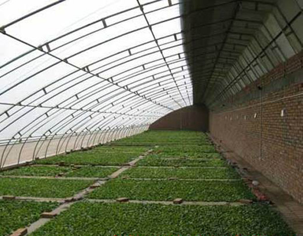 如何保证蔬菜大棚建设温度的持续稳定