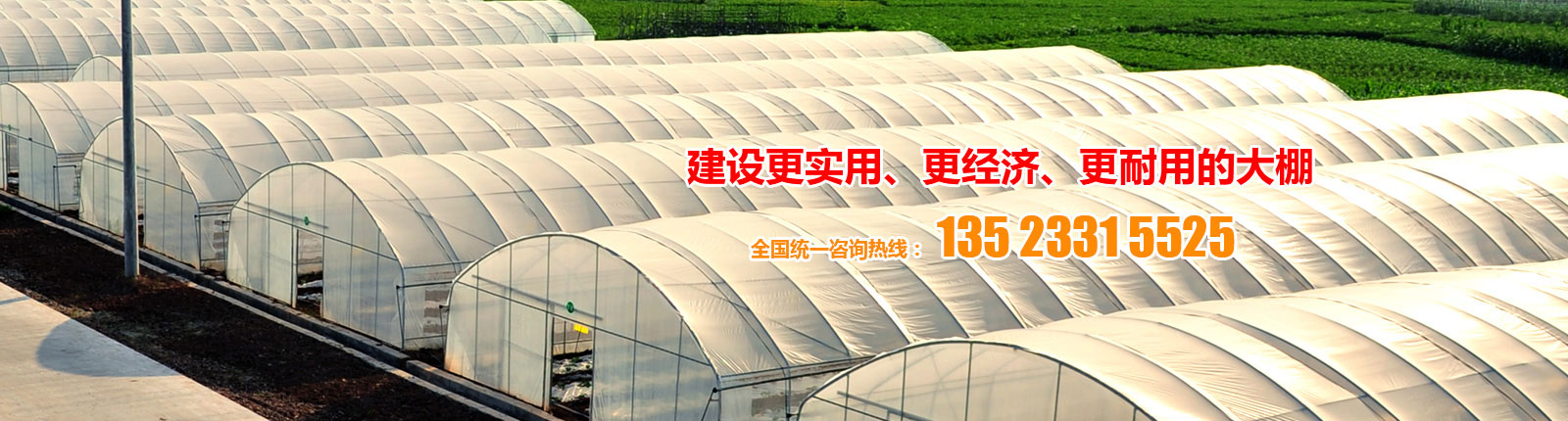安阳食用菌大棚批发厂家分享何提高蔬菜大棚的采光率