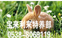 江苏太仓獭兔养殖基地的养殖人员讲解伏天獭兔中暑的症状
