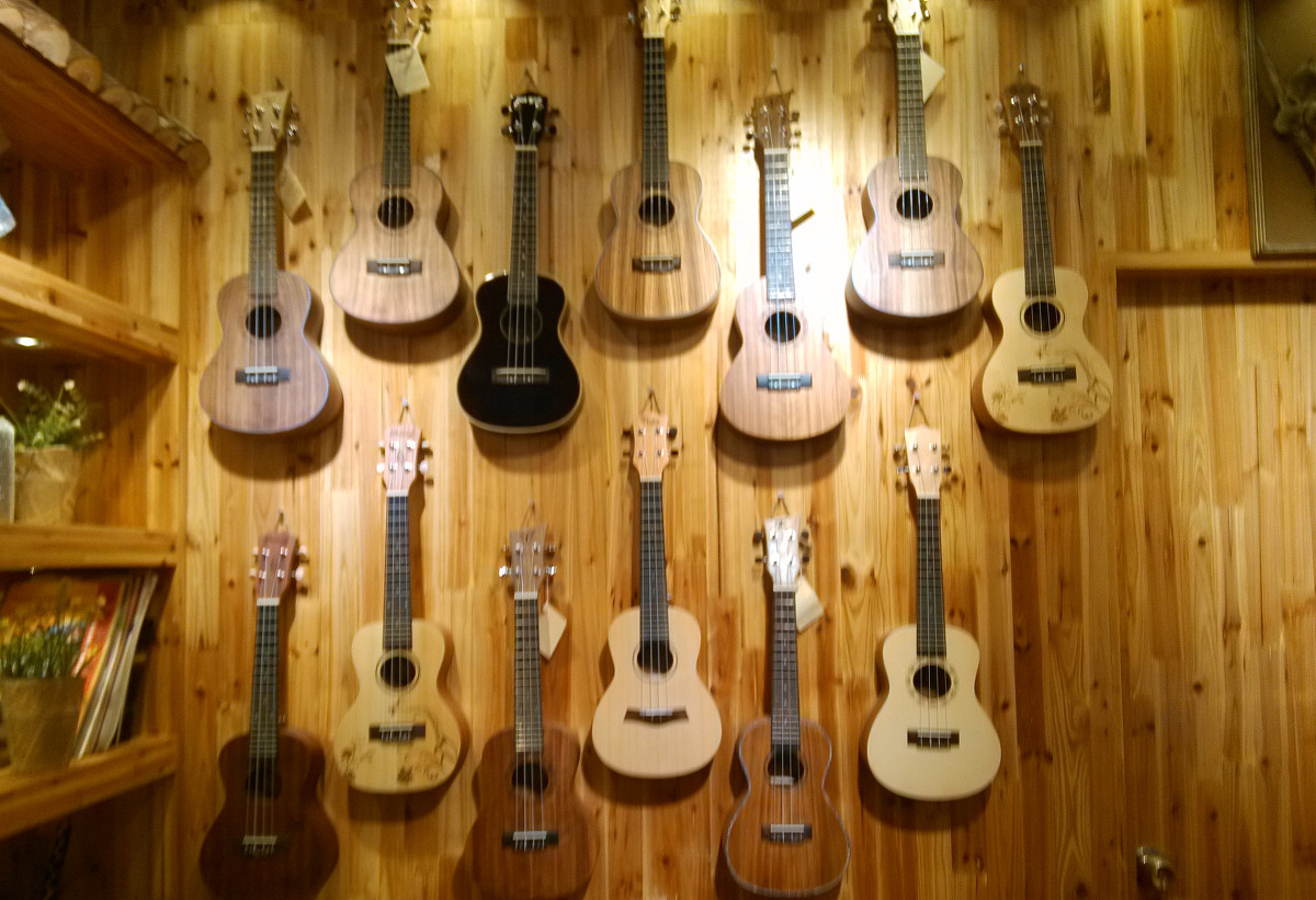 让乌鲁木齐吉他培训班资深老师为初学者们介绍几种常见的吉他类型