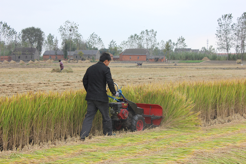 小型农机在黔中山区大受欢迎