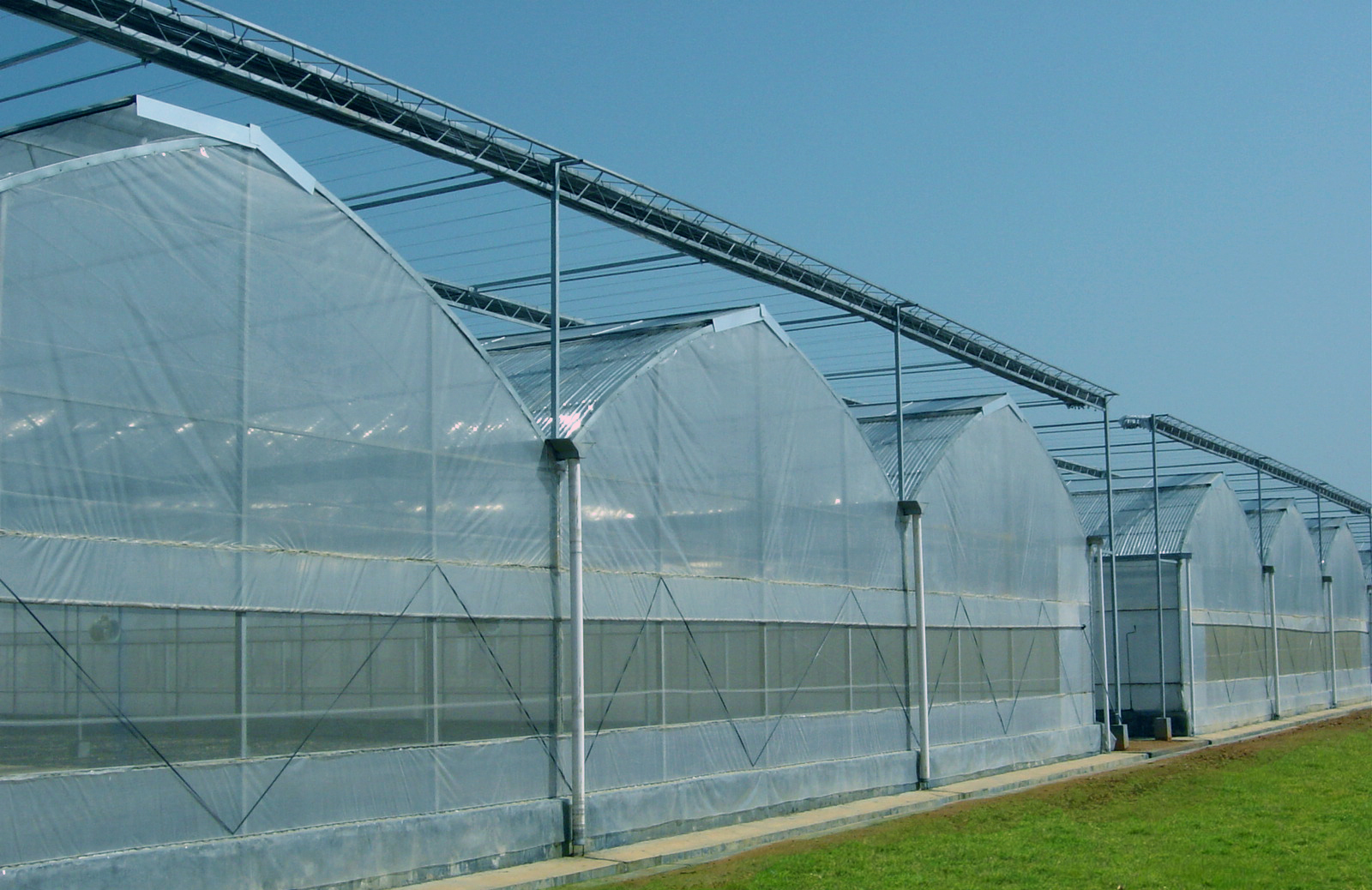 新疆大棚与新疆丰圆利农业科技有限公司阐述连栋玻璃温室覆盖材料维护技巧