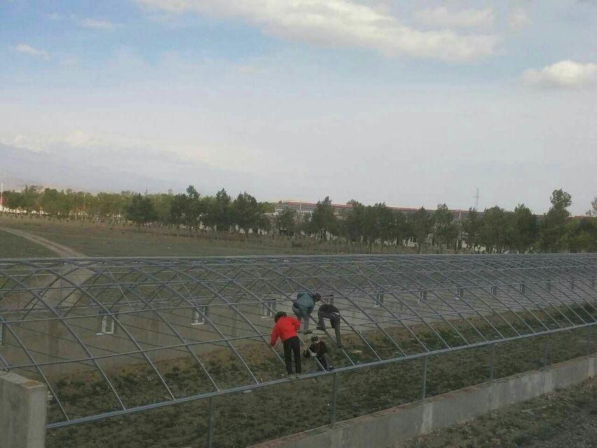 新疆大棚给你十点建议让你的温室大棚蔬菜的产量直线上升