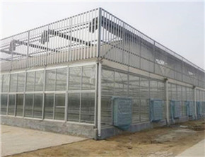 新疆温室大棚建造分析大棚结构性能