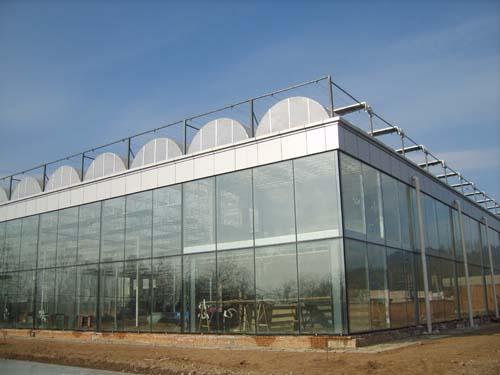 玻璃连栋温室大棚中如何有效防治土传病害