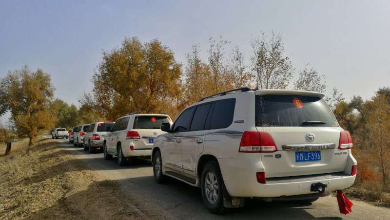 新疆租车旅游公司