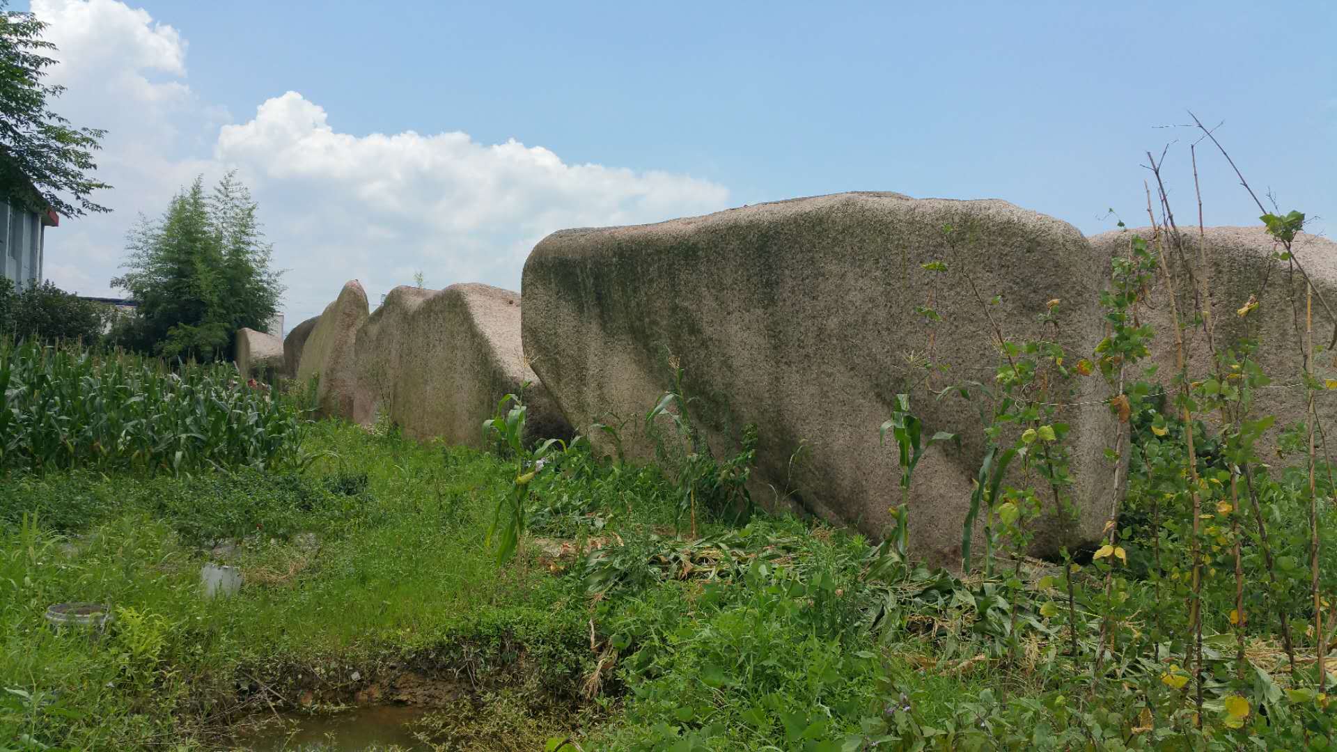吉安新石器风景石景观石搭配植物的技巧