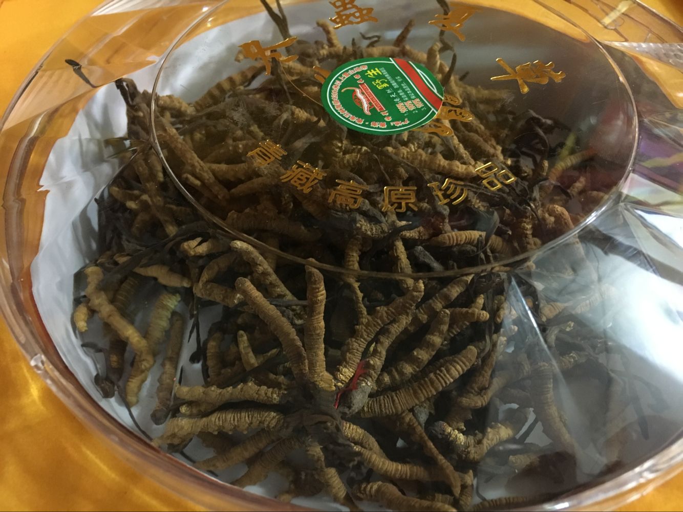 新疆回收青海西藏冬虫夏草与乌鲁木齐冬虫夏草回收的鉴别方法