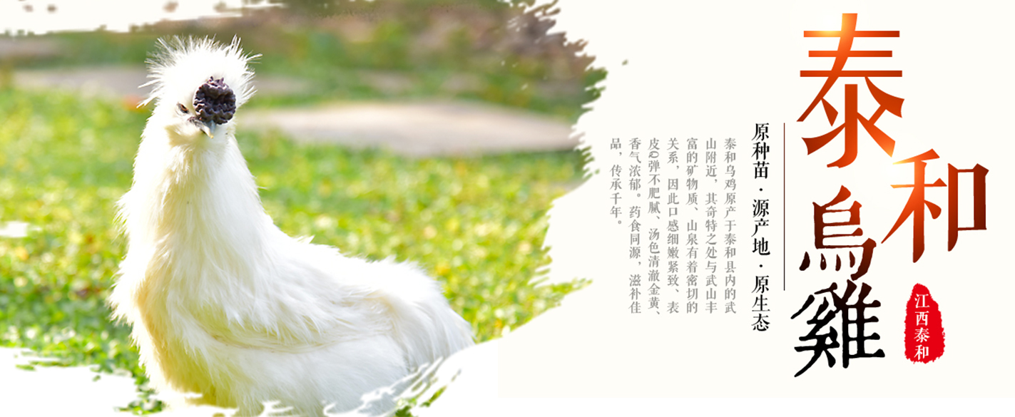 热烈祝贺泰和被授予“江西省泰和乌鸡食品产业基地”称号