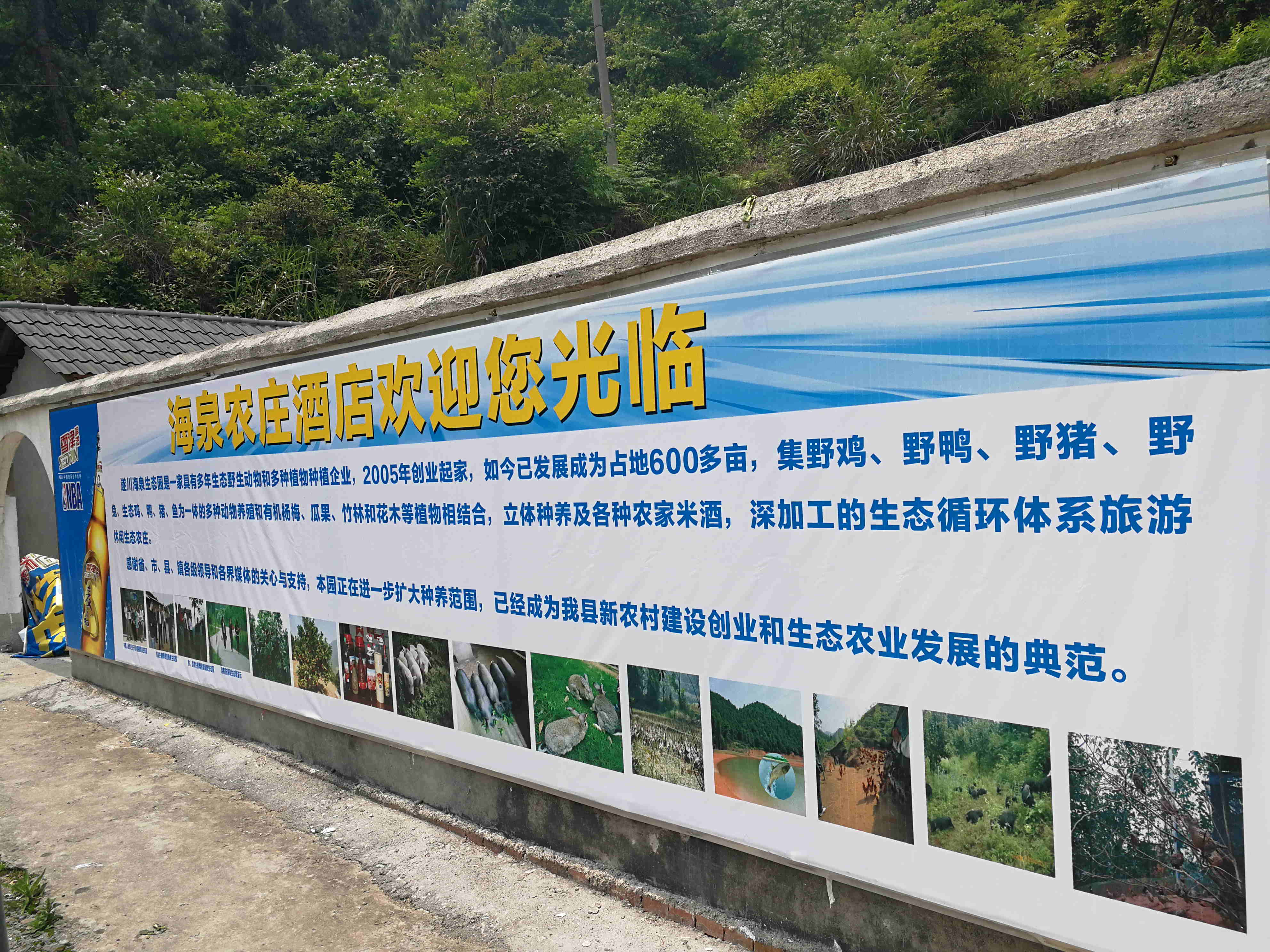 热烈庆祝江西海泉生态农业有限公司官网正式上线