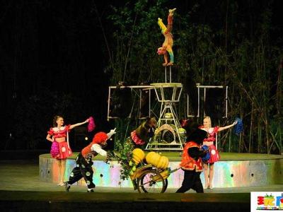 云南大马戏艺术节，超群马戏杂技团震撼呈现，可亲眼目睹国际级的马戏杂技表演盛宴