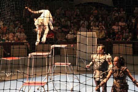 青海大马戏团专场演出让观众过把瘾，艺海马戏杂技表演、动物表演展示国际级马戏表演风范