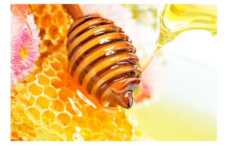 黑龙江黑蜂蜂蜜就选蓝沃蜂蜜天然健康美容养颜