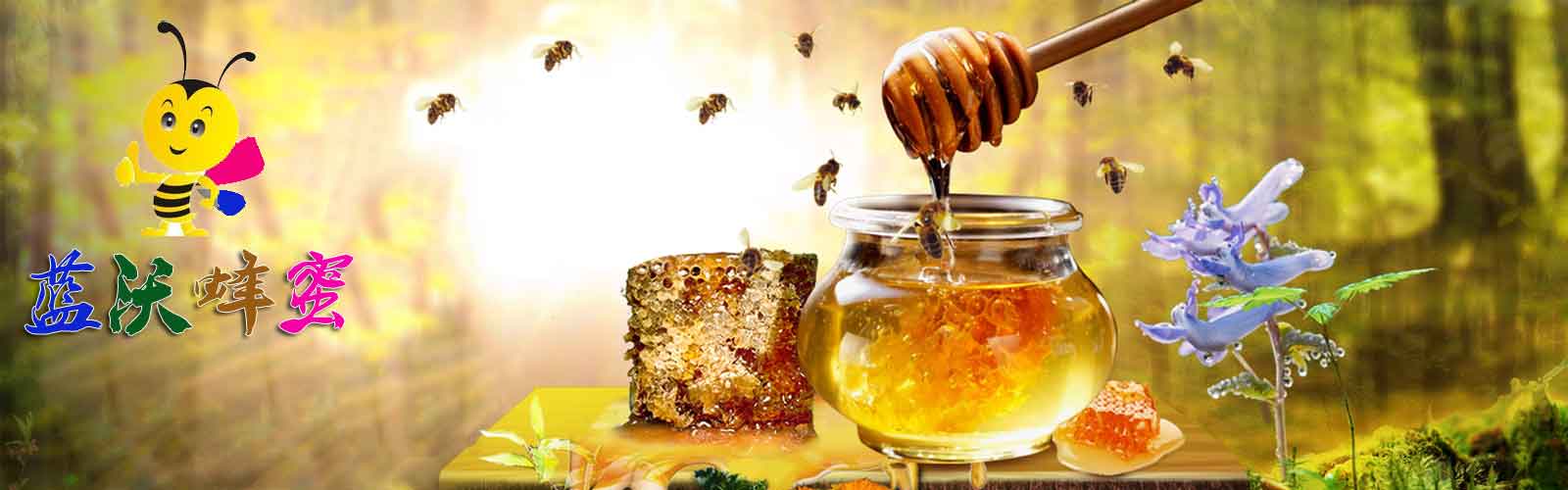 黑龙江黑蜂蜂蜜东北椴树蜜就找蓝沃蜂蜜生产批发商