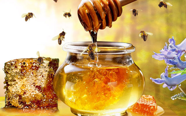 黑龙江黑蜂蜂蜜有什么不同
