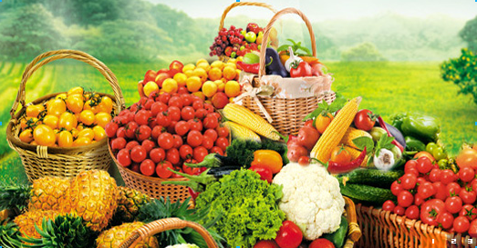 鹤壁无公害果品基地邀您一起来采摘新鲜水果
