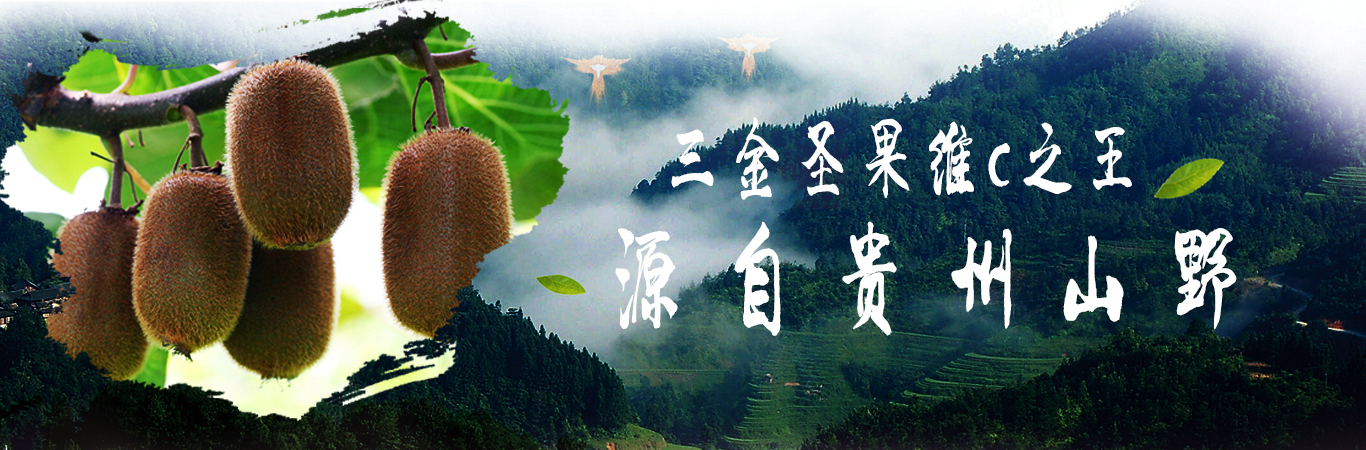 贵州猕猴桃哪家好为你分享猕猴桃冰沙的做法