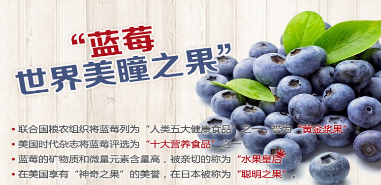贵州蓝莓苗木价格分享蓝莓酒的功效有哪些