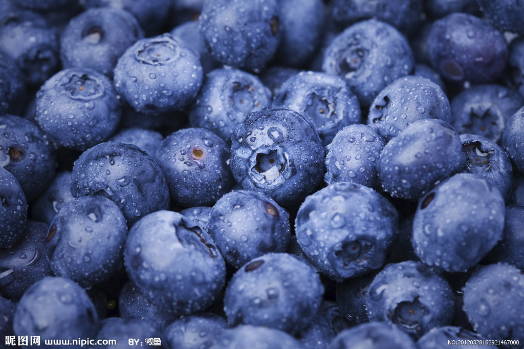 贵州最好的蓝莓田分享蓝莓的营养价值