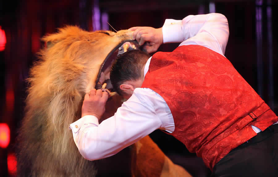 超群马戏杂技团9月安徽首秀精彩的动物表演马戏杂技表演颠覆了人们对传统马戏团的印象