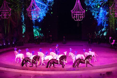 安徽马戏杂技团缤纷展演技艺把世界顶级的马戏杂技表演艺术送到家门口是真的吗