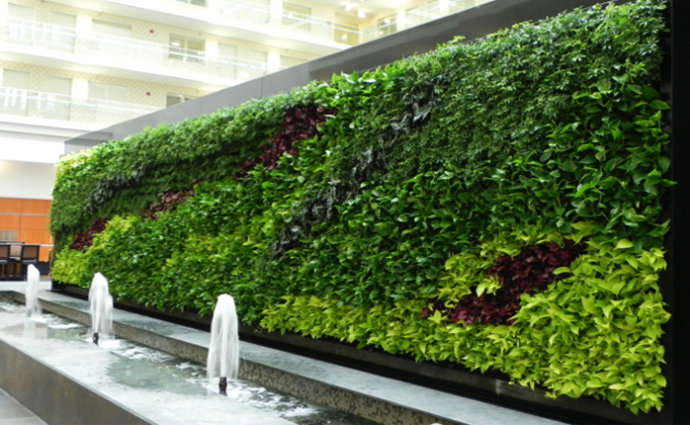 广州绿植墙：如何实现室内绿植墙垂直绿化