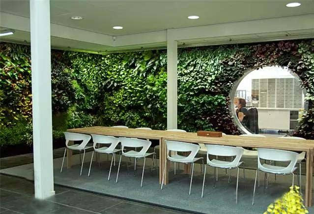 植物墙厂家为您分享哪些场所不适合安装植物墙