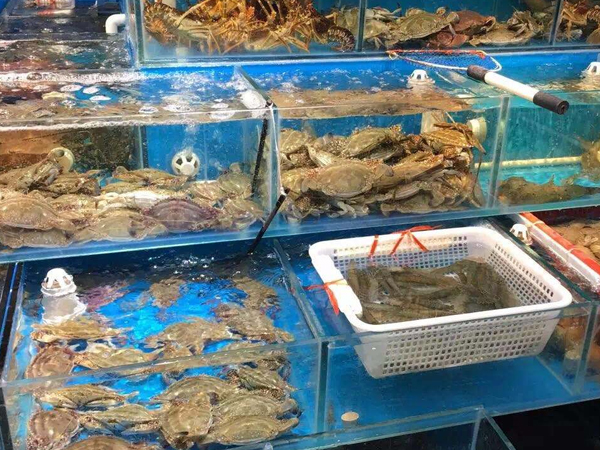 海鲜池厂家提醒各位朋友，若使用海鲜池养殖鱼虾请做到这几件事