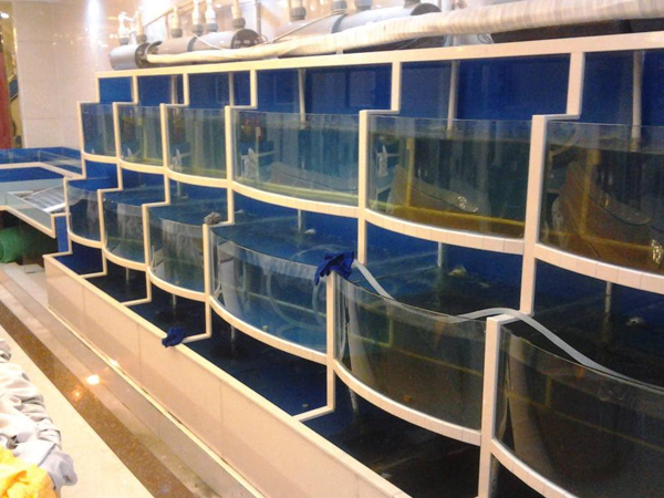 对于超市海鲜池中的小虾患丝状细菌病怎么办?