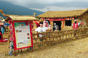 “稻草编织变废为宝，稻草工艺品出现在大众面前