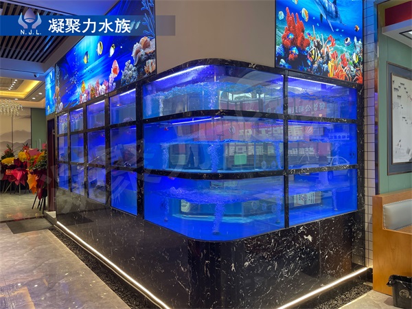 四川鱼缸厂家浅析鱼缸中的照明灯有什么作用？