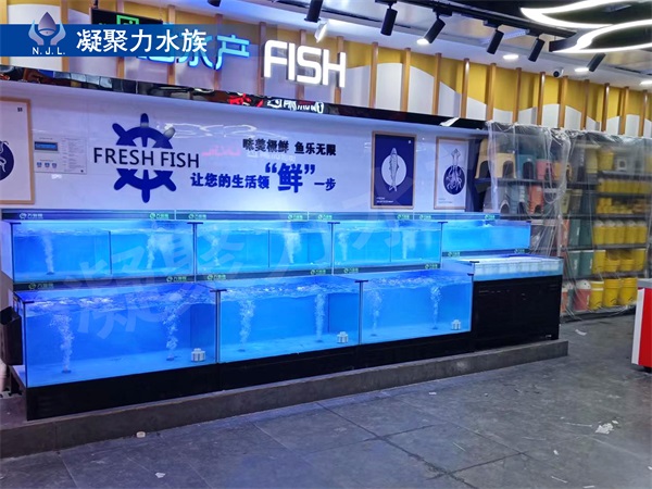 鱼缸厂家浅析墙体式鱼缸的定制设计要求