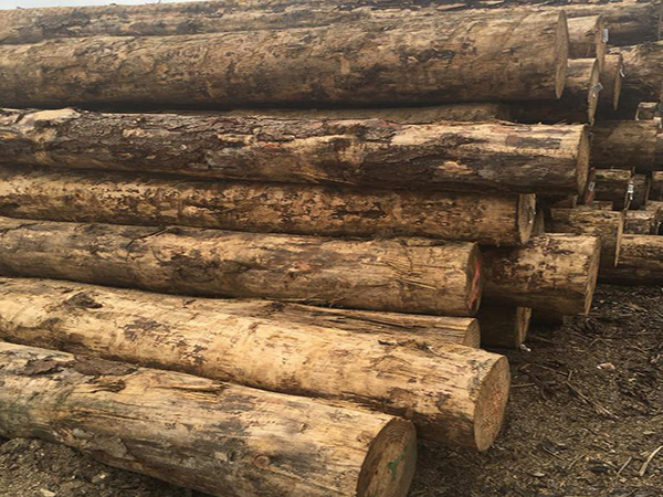 木材加工的方式都用哪些