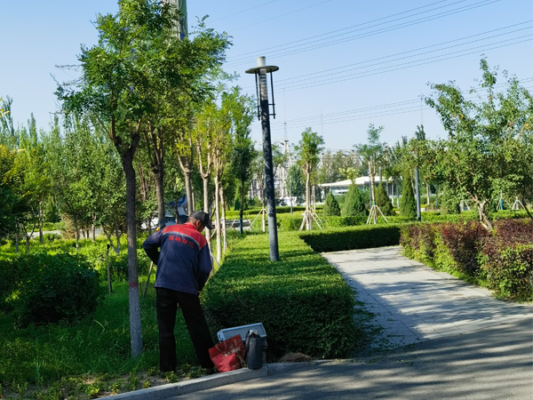園林綠化