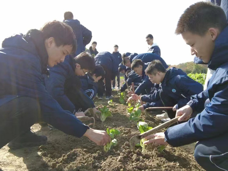 平顶山洛阳劳动教育课堂