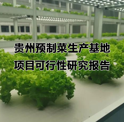贵州预制菜生产基地项目可行性研究报告