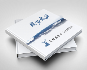 书刊画册广告定制